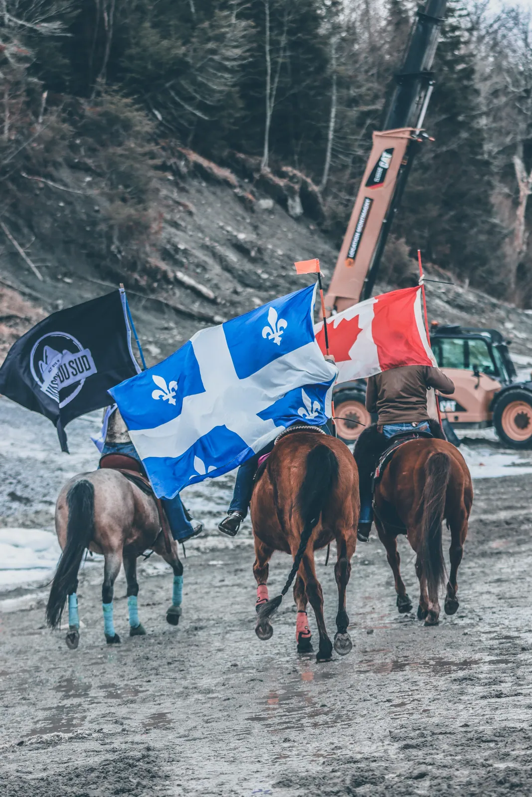 Skijoring avec les drapeaux du Québec et du Canada