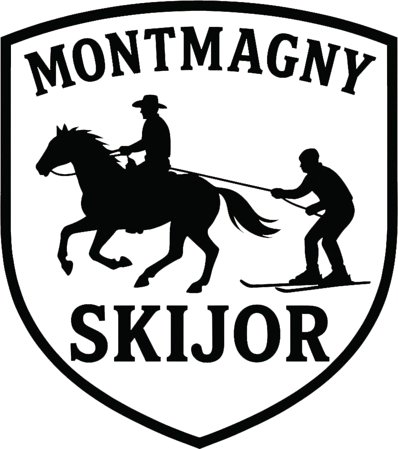 Skijoring — saison hivernale